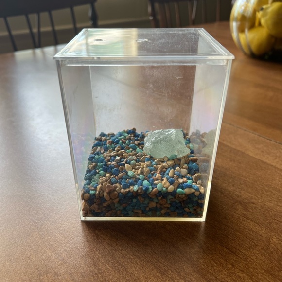 Frog Habitat - Picture 6 of 9